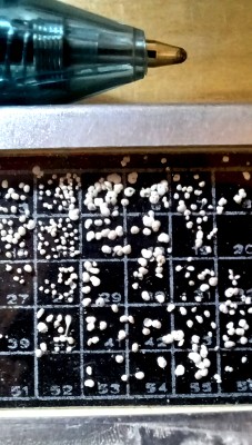 This is a slide of foram shells; note the pen tip for scale! A slide containing foram shells and a pen for scale.