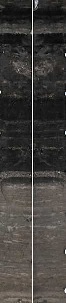 split core showing layers