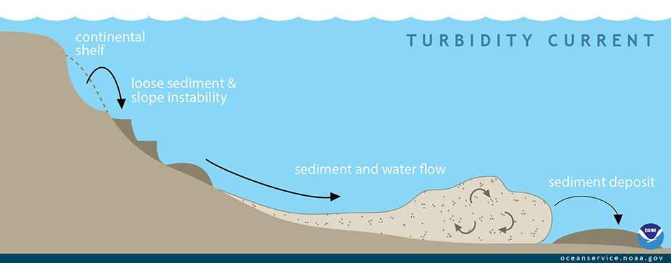 Diagram of a turbidity current